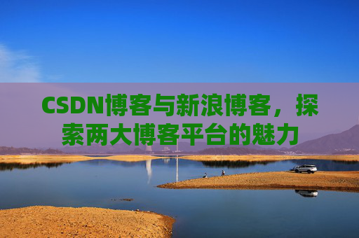 CSDN博客与新浪博客，探索两大博客平台的魅力